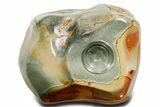 Polished Polychrome Jasper Candle Holder - Madagascar #362003-1